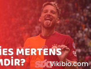 Dries Mertens Kimdir?